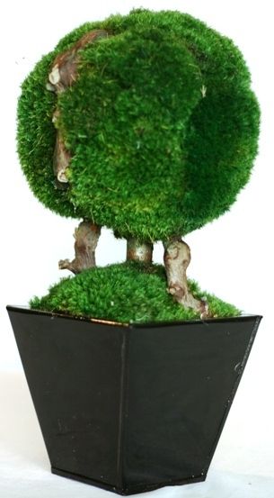 Topiary Moss Ball Single 13"